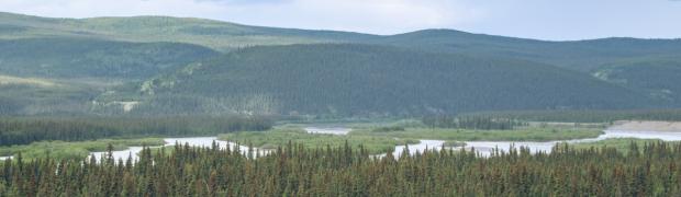2023 - Nordamerika:
15. Alaska Hwy bis Muncho Lake:
USA-23-15-9
