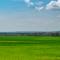 ....Landwirtschaft....