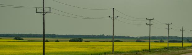 2023 - Nordamerika:
18. Urlaub Manitoba:
USA-23-18-11