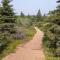 ...Wanderung im Spruce Woods PP....