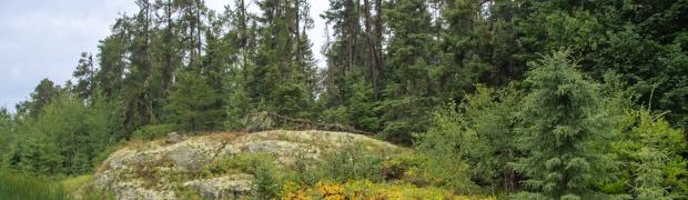 2023 - Nordamerika:
19. Lake Superior:
USA-23-19-22