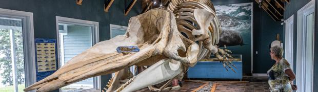 2023 - Nordamerika:
22. Neufundland:
USA-23-22-102