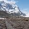 ...des "kleine" Gletscher hat damals hier Alles bedeckt....