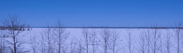 2023 - Nordamerika:
Anreise - wir entkommen der Kälte:
USA-23-1-8