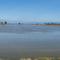 ..die Reisfelder des Ebro Delta..