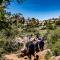 .....Naturpark El Tocal....Meeresboden......