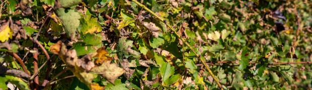 2024 - Spanien Herbst:
Die Anreise:
WJ-2024-A-13
