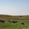 ..und Viehzucht..bestimmen die Landschaft ..